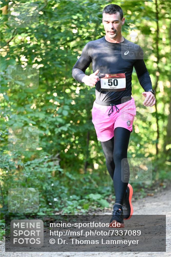 06.10.2024 - Bramfelder Halbmarathon 2024 Dr. Thomas Lammeyer http://msf.ph/oto/7337089 06.10.2024 10:19:26 Laufen 33, 50, 30, 39 meine-sportfotos.de