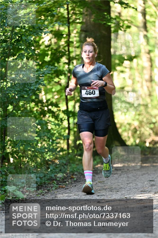 06.10.2024 - Bramfelder Halbmarathon 2024 Dr. Thomas Lammeyer http://msf.ph/oto/7337163 06.10.2024 10:20:03 Laufen 460 meine-sportfotos.de