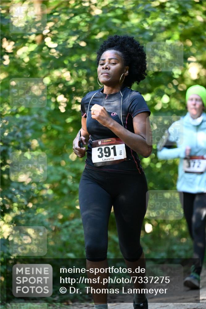 06.10.2024 - Bramfelder Halbmarathon 2024 Dr. Thomas Lammeyer http://msf.ph/oto/7337275 06.10.2024 10:20:35 Laufen 33, 391, 172 meine-sportfotos.de