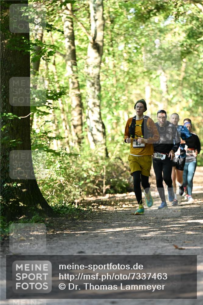 06.10.2024 - Bramfelder Halbmarathon 2024 Dr. Thomas Lammeyer http://msf.ph/oto/7337463 06.10.2024 10:21:30 Laufen 85, 369, 456 meine-sportfotos.de
