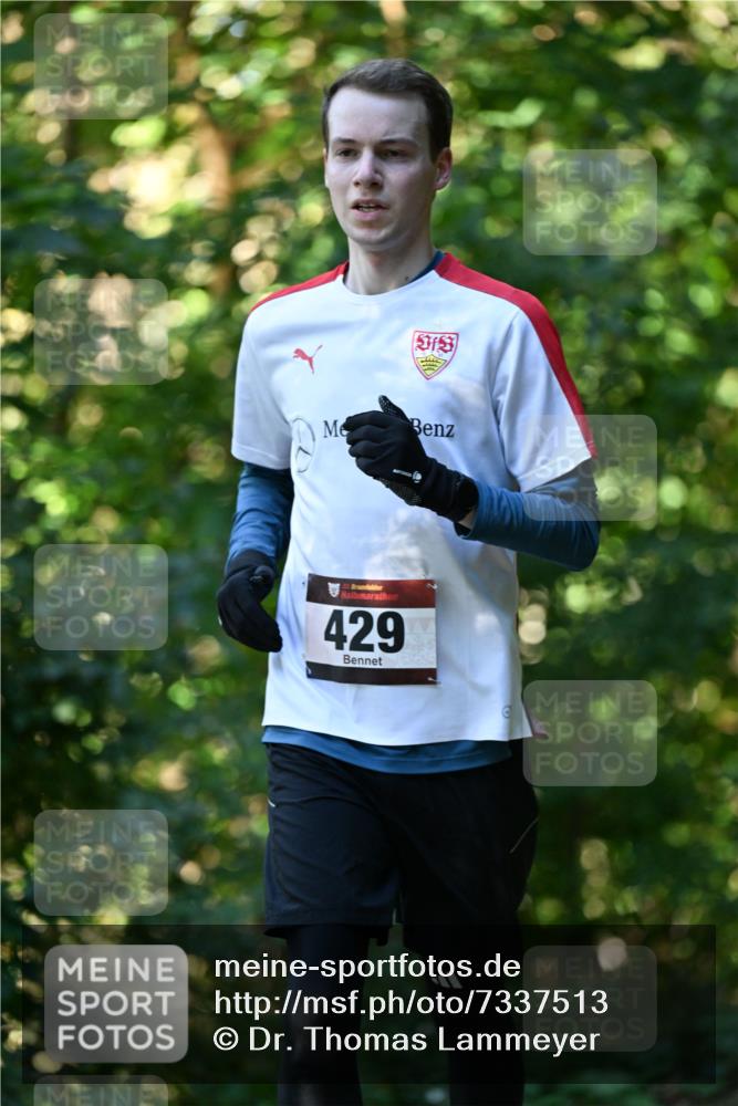 06.10.2024 - Bramfelder Halbmarathon 2024 Dr. Thomas Lammeyer http://msf.ph/oto/7337513 06.10.2024 10:21:40 Laufen 429 meine-sportfotos.de