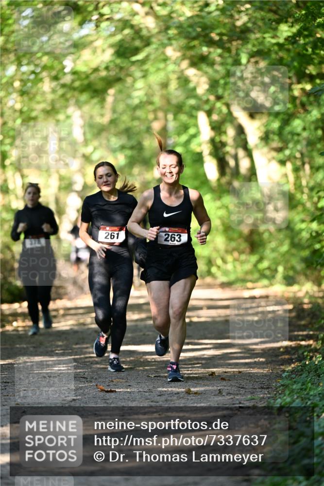 06.10.2024 - Bramfelder Halbmarathon 2024 Dr. Thomas Lammeyer http://msf.ph/oto/7337637 06.10.2024 10:22:25 Laufen 261, 263 meine-sportfotos.de