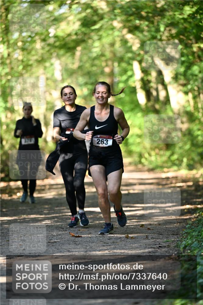06.10.2024 - Bramfelder Halbmarathon 2024 Dr. Thomas Lammeyer http://msf.ph/oto/7337640 06.10.2024 10:22:25 Laufen 378, 263 meine-sportfotos.de