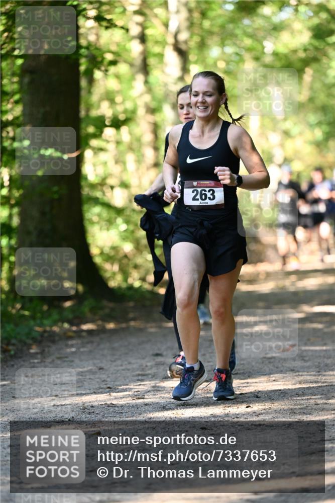 06.10.2024 - Bramfelder Halbmarathon 2024 Dr. Thomas Lammeyer http://msf.ph/oto/7337653 06.10.2024 10:22:27 Laufen 263 meine-sportfotos.de