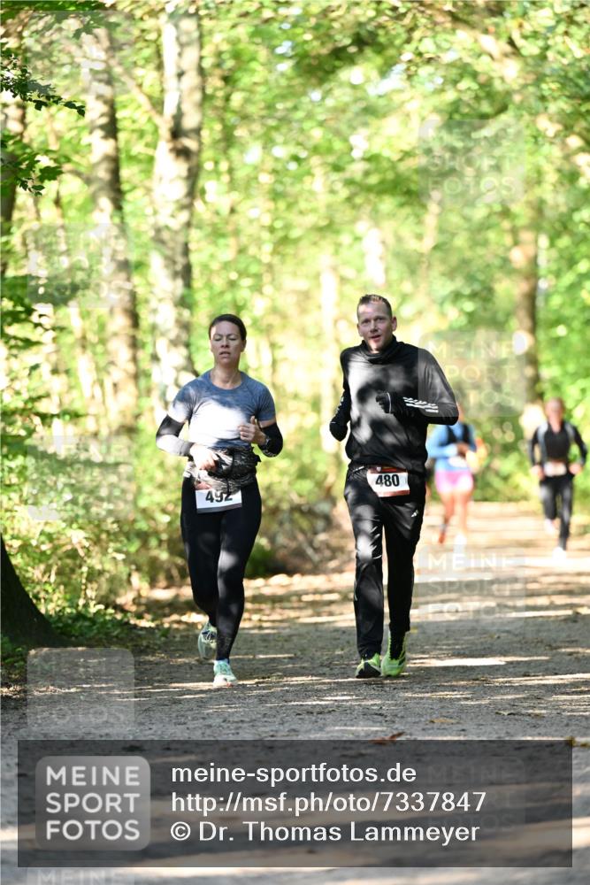 06.10.2024 - Bramfelder Halbmarathon 2024 Dr. Thomas Lammeyer http://msf.ph/oto/7337847 06.10.2024 10:23:34 Laufen 480, 492 meine-sportfotos.de