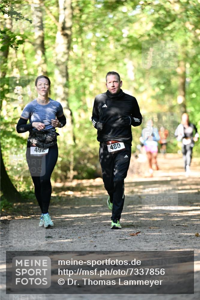 06.10.2024 - Bramfelder Halbmarathon 2024 Dr. Thomas Lammeyer http://msf.ph/oto/7337856 06.10.2024 10:23:35 Laufen 492, 480 meine-sportfotos.de