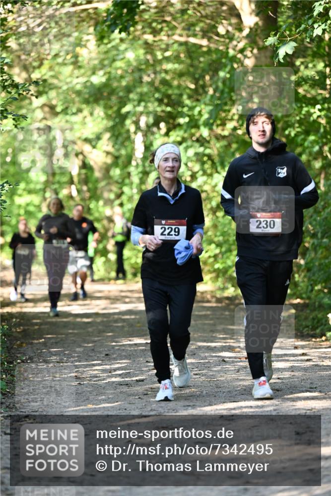 06.10.2024 - Bramfelder Halbmarathon 2024 Dr. Thomas Lammeyer http://msf.ph/oto/7342495 06.10.2024 10:53:25 Laufen 230, 229 meine-sportfotos.de