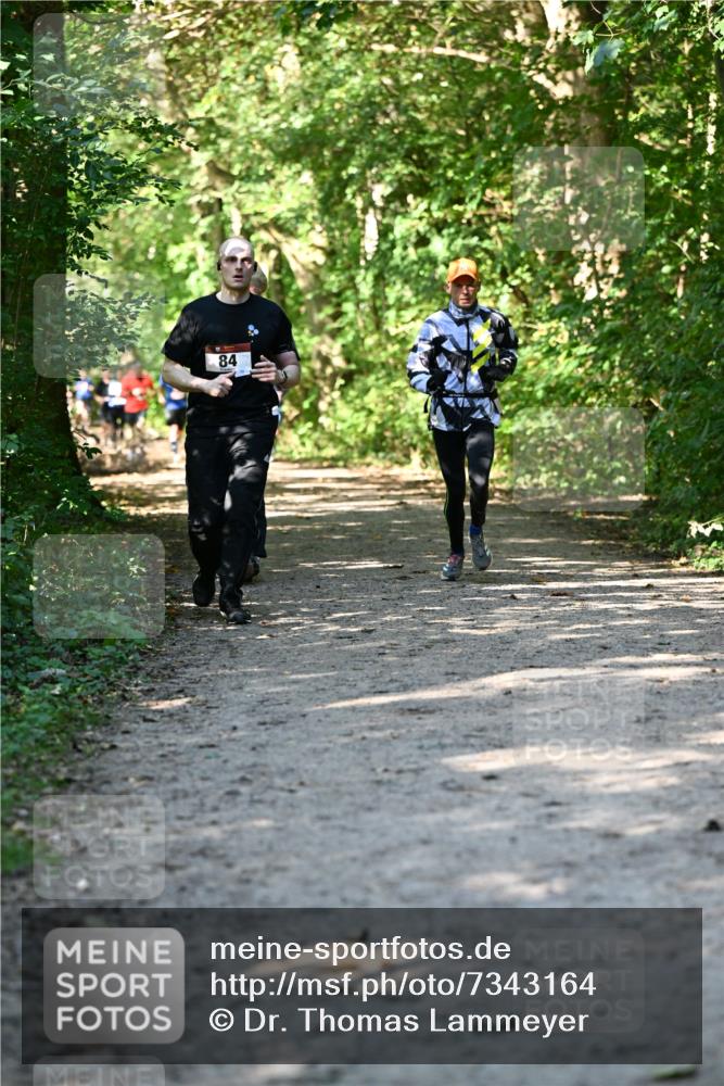 06.10.2024 - Bramfelder Halbmarathon 2024 Dr. Thomas Lammeyer http://msf.ph/oto/7343164 06.10.2024 10:54:42 Laufen 84 meine-sportfotos.de
