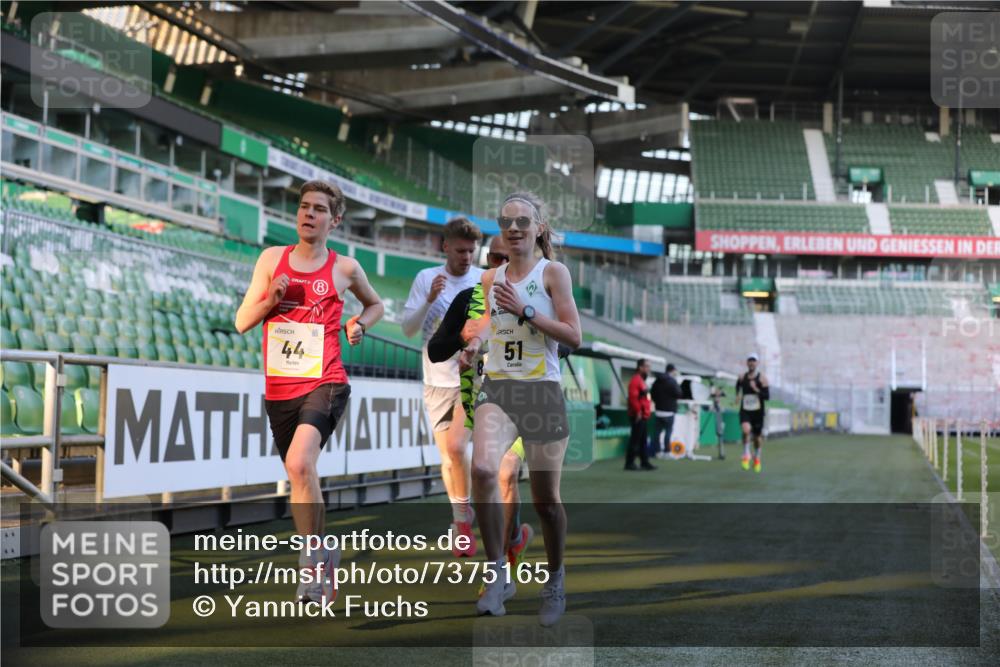 06.10.2024 - 19. swb-Marathon Bremen Yannick Fuchs http://msf.ph/oto/7375165 06.10.2024 10:16:43 Laufen im Stadion 44, 51, 7498, 8080, 8211, 8559, 8600 meine-sportfotos.de