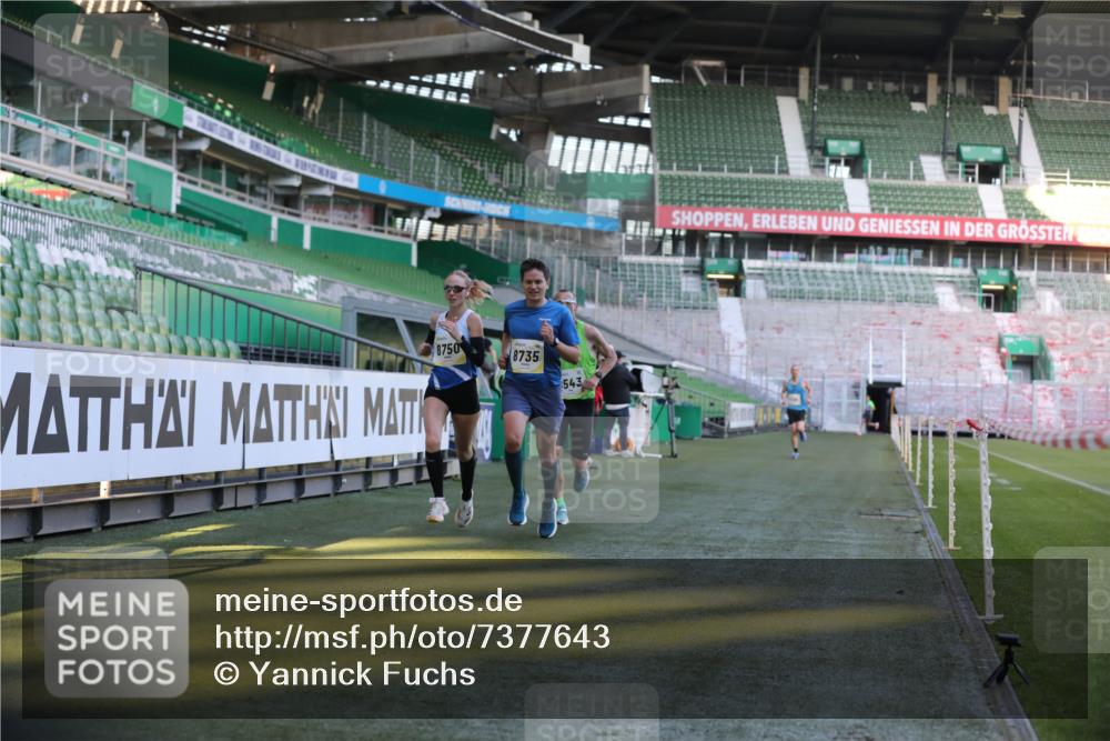 06.10.2024 - 19. swb-Marathon Bremen Yannick Fuchs http://msf.ph/oto/7377643 06.10.2024 10:19:00 Laufen im Stadion 7190, 7247, 7838, 8300, 8543, 8664, 8735, 8750 meine-sportfotos.de
