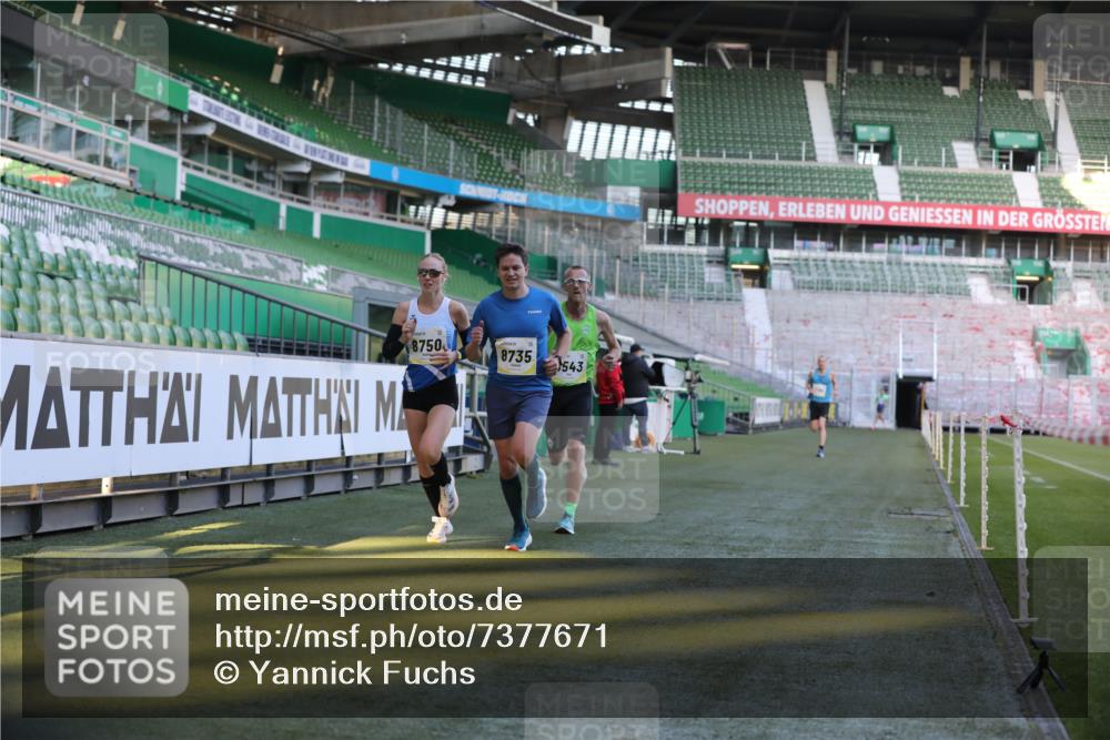 06.10.2024 - 19. swb-Marathon Bremen Yannick Fuchs http://msf.ph/oto/7377671 06.10.2024 10:19:00 Laufen im Stadion 7190, 7247, 7838, 8300, 8543, 8664, 8735, 8750 meine-sportfotos.de