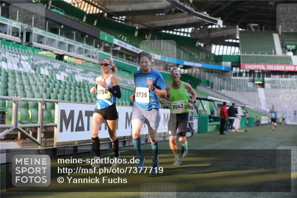 06.10.2024 - 19. swb-Marathon Bremen Yannick Fuchs http://msf.ph/oto/7377719 06.10.2024 10:19:01 Laufen im Stadion 7190, 7247, 7838, 8300, 8543, 8664, 8735, 8750 meine-sportfotos.de