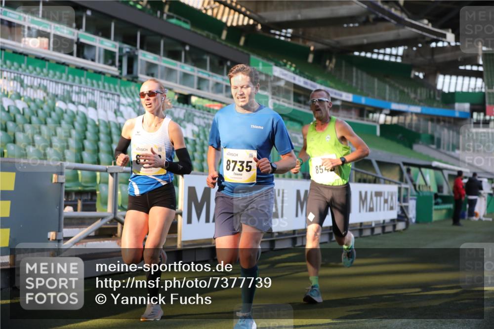 06.10.2024 - 19. swb-Marathon Bremen Yannick Fuchs http://msf.ph/oto/7377739 06.10.2024 10:19:02 Laufen im Stadion 7190, 7247, 7838, 8543, 8664, 8735, 8750 meine-sportfotos.de