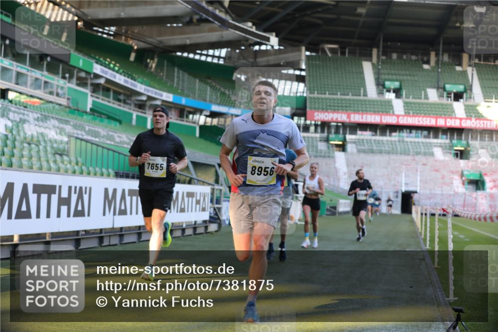 06.10.2024 - 19. swb-Marathon Bremen Yannick Fuchs http://msf.ph/oto/7381875 06.10.2024 10:22:03 Laufen im Stadion 7019, 7376, 7646, 7655, 7839, 7963, 8198, 8292, 8511, 8583, 8631, 8755, 8781, 8792, 8797, 8956 meine-sportfotos.de