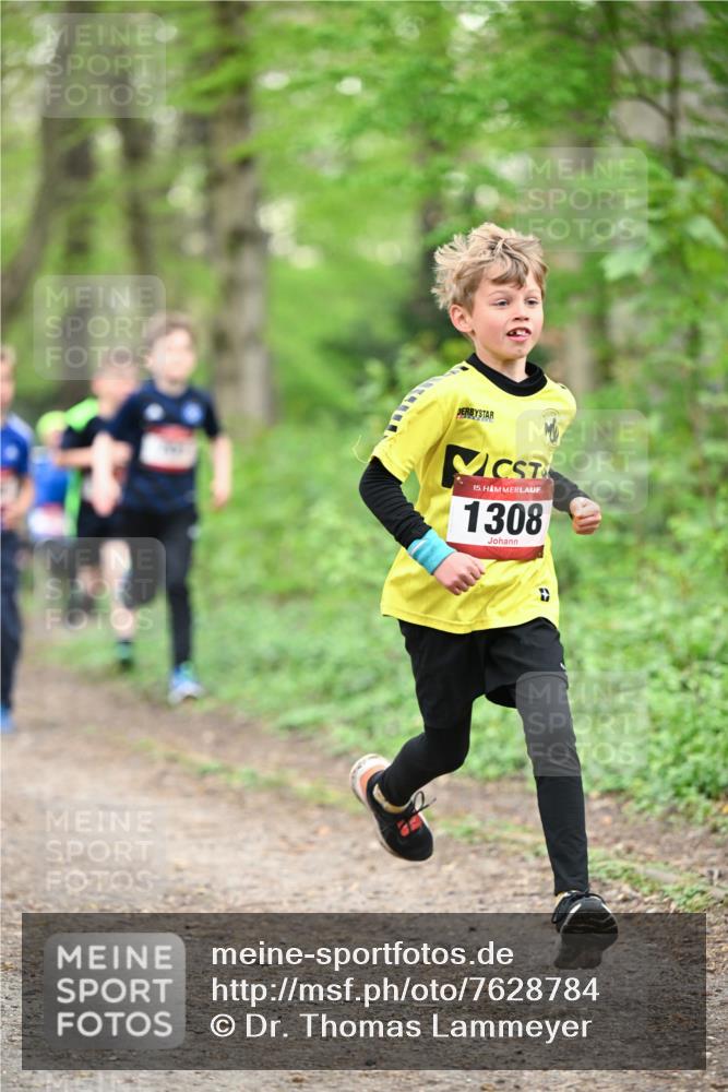 13.04.2025 - Hammer Lauf Dr. Thomas Lammeyer http://msf.ph/oto/7628784 13.04.2025 09:22:37 Laufen 15, 1308 meine-sportfotos.de