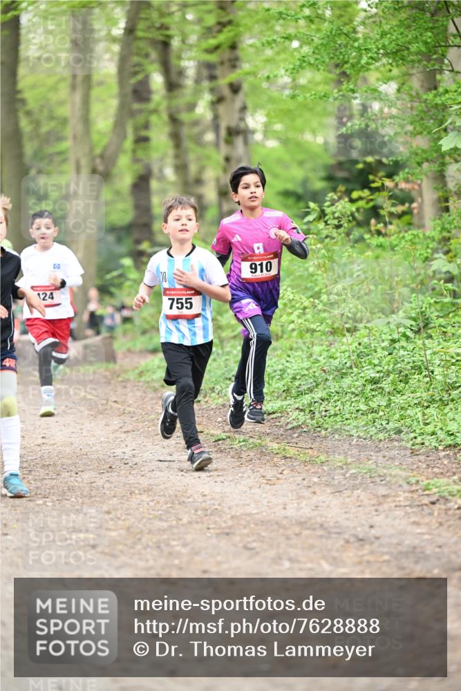 13.04.2025 - Hammer Lauf Dr. Thomas Lammeyer http://msf.ph/oto/7628888 13.04.2025 09:22:46 Laufen 4, 124, 755, 15, 910 meine-sportfotos.de
