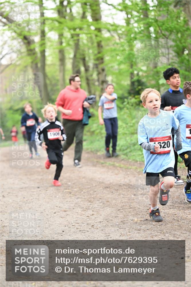 13.04.2025 - Hammer Lauf Dr. Thomas Lammeyer http://msf.ph/oto/7629395 13.04.2025 09:23:22 Laufen 1906, 15, 520 meine-sportfotos.de
