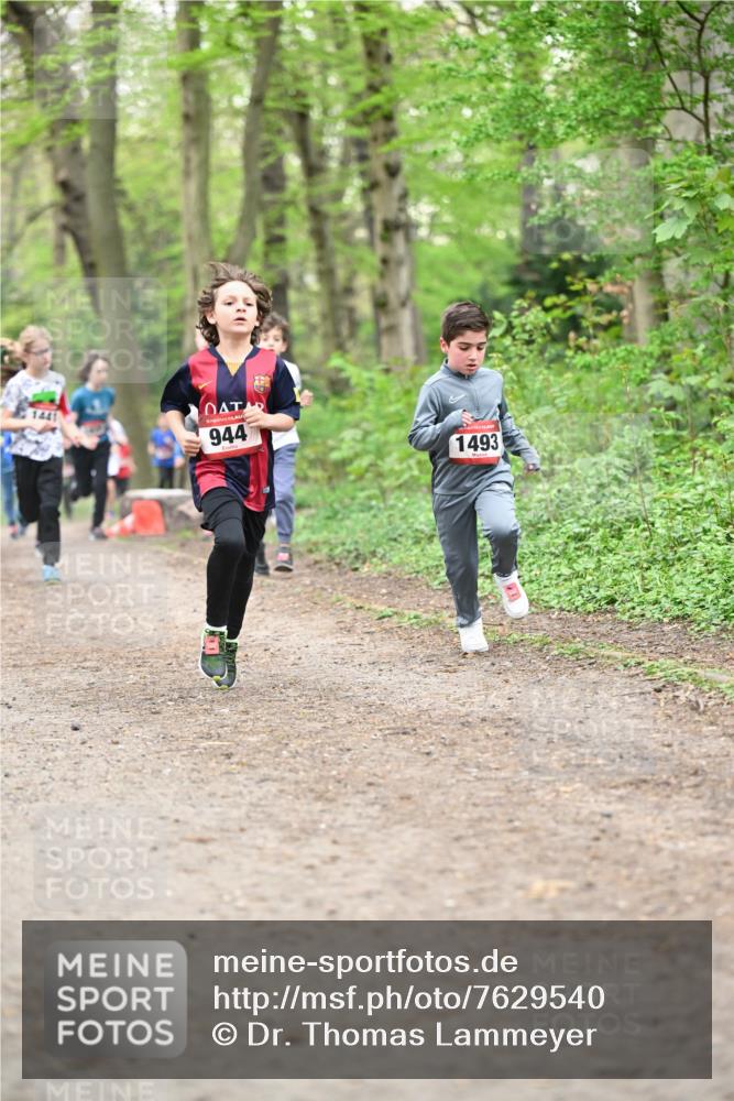 13.04.2025 - Hammer Lauf Dr. Thomas Lammeyer http://msf.ph/oto/7629540 13.04.2025 09:23:28 Laufen 1441, 944, 1493 meine-sportfotos.de