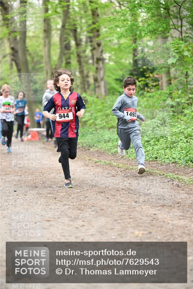 13.04.2025 - Hammer Lauf Dr. Thomas Lammeyer http://msf.ph/oto/7629543 13.04.2025 09:23:28 Laufen 441, 944, 1493 meine-sportfotos.de