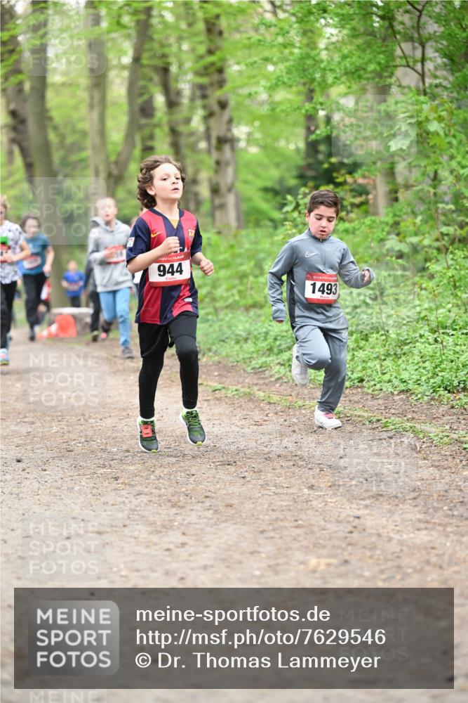 13.04.2025 - Hammer Lauf Dr. Thomas Lammeyer http://msf.ph/oto/7629546 13.04.2025 09:23:29 Laufen 944, 15, 1493 meine-sportfotos.de