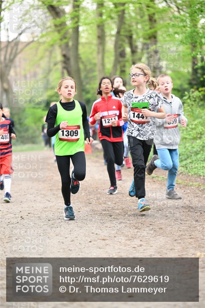 13.04.2025 - Hammer Lauf Dr. Thomas Lammeyer http://msf.ph/oto/7629619 13.04.2025 09:23:32 Laufen 480, 1309, 1211, 15, 144, 59 meine-sportfotos.de