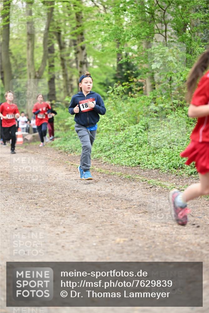 13.04.2025 - Hammer Lauf Dr. Thomas Lammeyer http://msf.ph/oto/7629839 13.04.2025 09:23:43 Laufen 18 meine-sportfotos.de