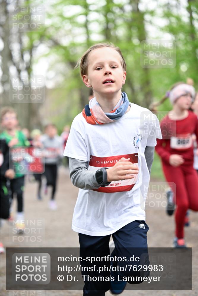 13.04.2025 - Hammer Lauf Dr. Thomas Lammeyer http://msf.ph/oto/7629983 13.04.2025 09:23:49 Laufen 15 meine-sportfotos.de