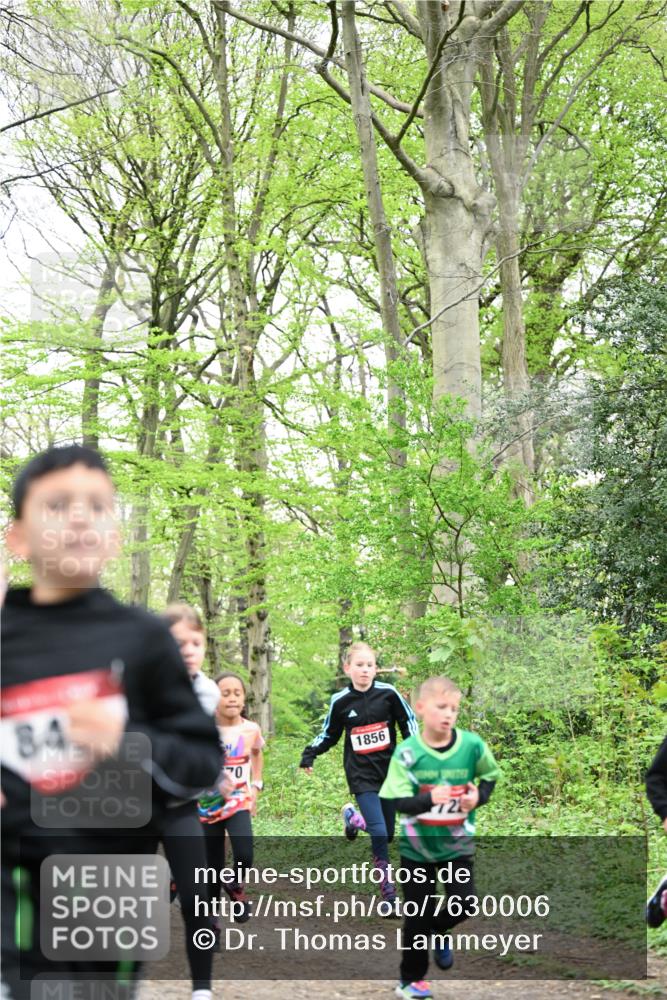 13.04.2025 - Hammer Lauf Dr. Thomas Lammeyer http://msf.ph/oto/7630006 13.04.2025 09:23:50 Laufen 84, 70, 1856, 72 meine-sportfotos.de