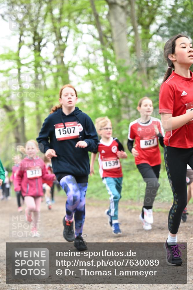 13.04.2025 - Hammer Lauf Dr. Thomas Lammeyer http://msf.ph/oto/7630089 13.04.2025 09:23:53 Laufen 373, 1507, 1539, 827, 15, 1 meine-sportfotos.de