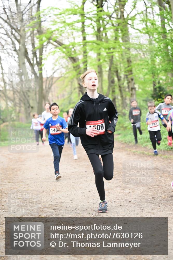 13.04.2025 - Hammer Lauf Dr. Thomas Lammeyer http://msf.ph/oto/7630126 13.04.2025 09:23:55 Laufen 148, 15, 09, 793, 147 meine-sportfotos.de