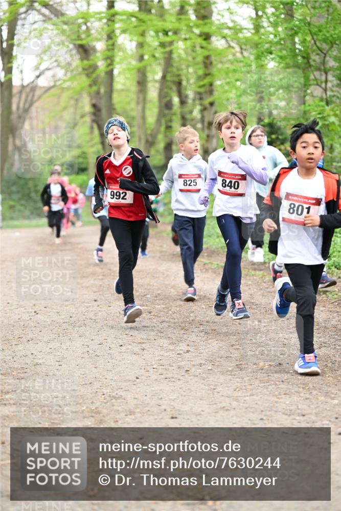 13.04.2025 - Hammer Lauf Dr. Thomas Lammeyer http://msf.ph/oto/7630244 13.04.2025 09:24:00 Laufen 992, 825, 840, 801 meine-sportfotos.de