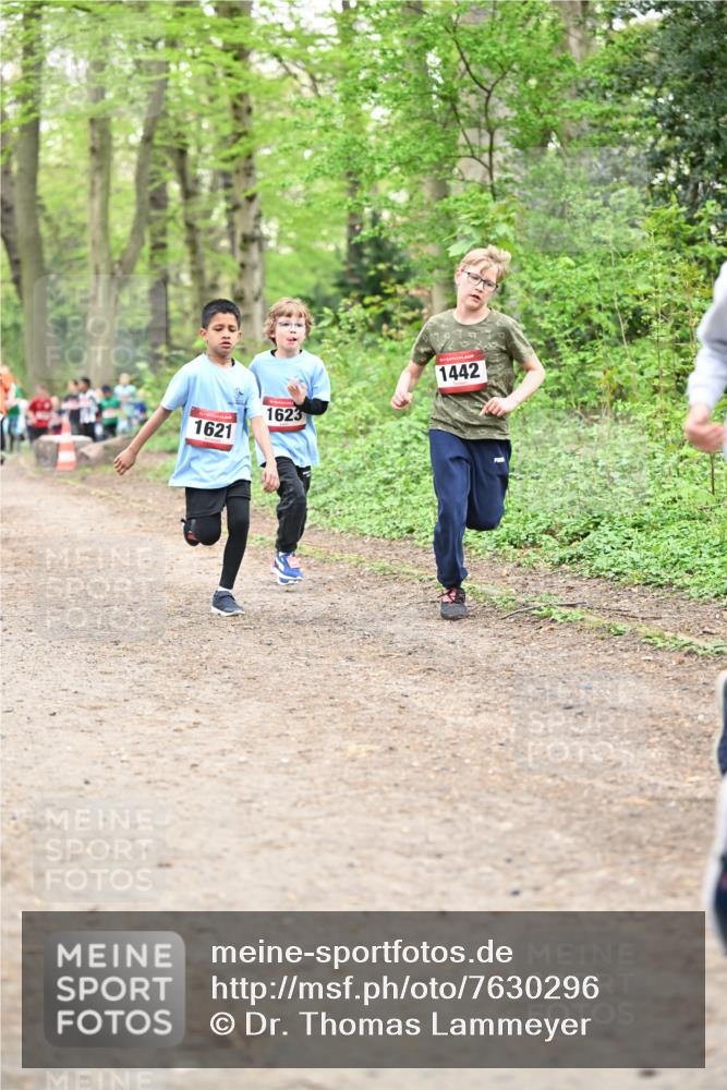 13.04.2025 - Hammer Lauf Dr. Thomas Lammeyer http://msf.ph/oto/7630296 13.04.2025 09:24:02 Laufen 1621, 1623, 1442 meine-sportfotos.de