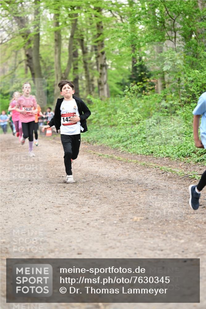 13.04.2025 - Hammer Lauf Dr. Thomas Lammeyer http://msf.ph/oto/7630345 13.04.2025 09:24:03 Laufen 1036, 14 meine-sportfotos.de