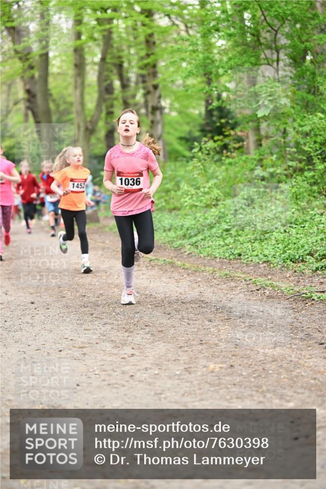 13.04.2025 - Hammer Lauf Dr. Thomas Lammeyer http://msf.ph/oto/7630398 13.04.2025 09:24:05 Laufen 1452, 15, 1036 meine-sportfotos.de