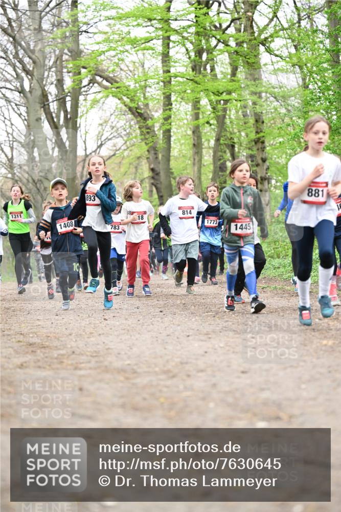 13.04.2025 - Hammer Lauf Dr. Thomas Lammeyer http://msf.ph/oto/7630645 13.04.2025 09:24:18 Laufen 893, 1311, 1408, 783, 814, 18, 1773, 1445, 881 meine-sportfotos.de