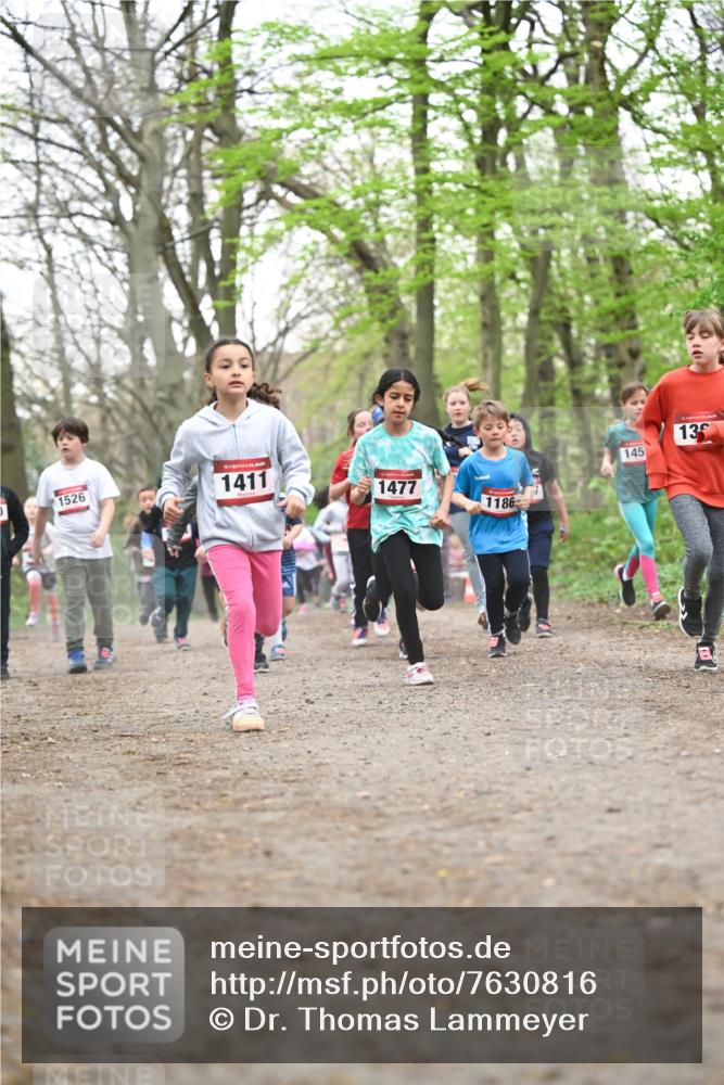 13.04.2025 - Hammer Lauf Dr. Thomas Lammeyer http://msf.ph/oto/7630816 13.04.2025 09:24:24 Laufen 1526, 15, 1411, 1477, 1186, 145, 13 meine-sportfotos.de