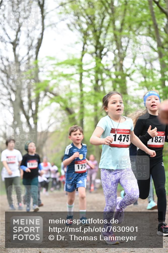 13.04.2025 - Hammer Lauf Dr. Thomas Lammeyer http://msf.ph/oto/7630901 13.04.2025 09:24:27 Laufen 175, 1475, 1821 meine-sportfotos.de