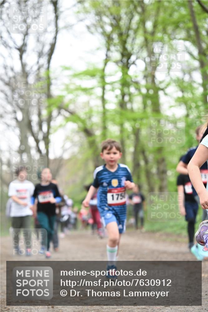 13.04.2025 - Hammer Lauf Dr. Thomas Lammeyer http://msf.ph/oto/7630912 13.04.2025 09:24:27 Laufen 175 meine-sportfotos.de