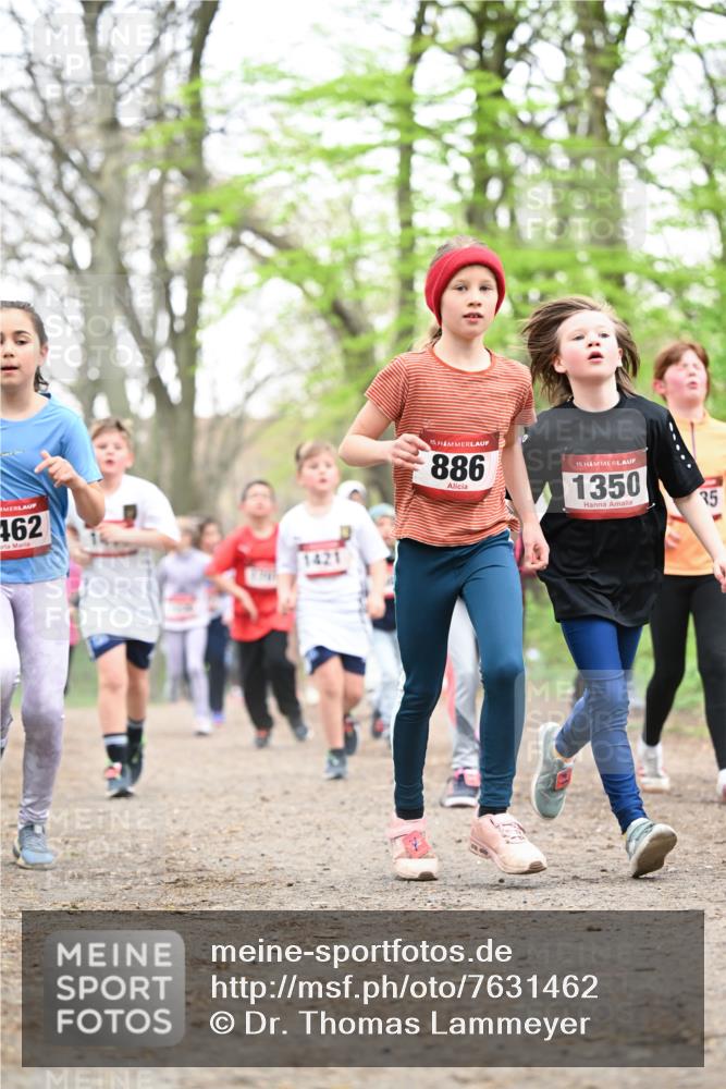 13.04.2025 - Hammer Lauf Dr. Thomas Lammeyer http://msf.ph/oto/7631462 13.04.2025 09:24:47 Laufen 462, 15, 886, 15, 1350, 35 meine-sportfotos.de