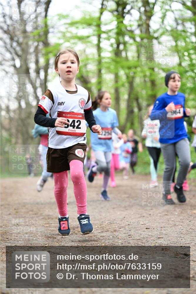 13.04.2025 - Hammer Lauf Dr. Thomas Lammeyer http://msf.ph/oto/7633159 13.04.2025 09:25:31 Laufen 15, 42, 964 meine-sportfotos.de