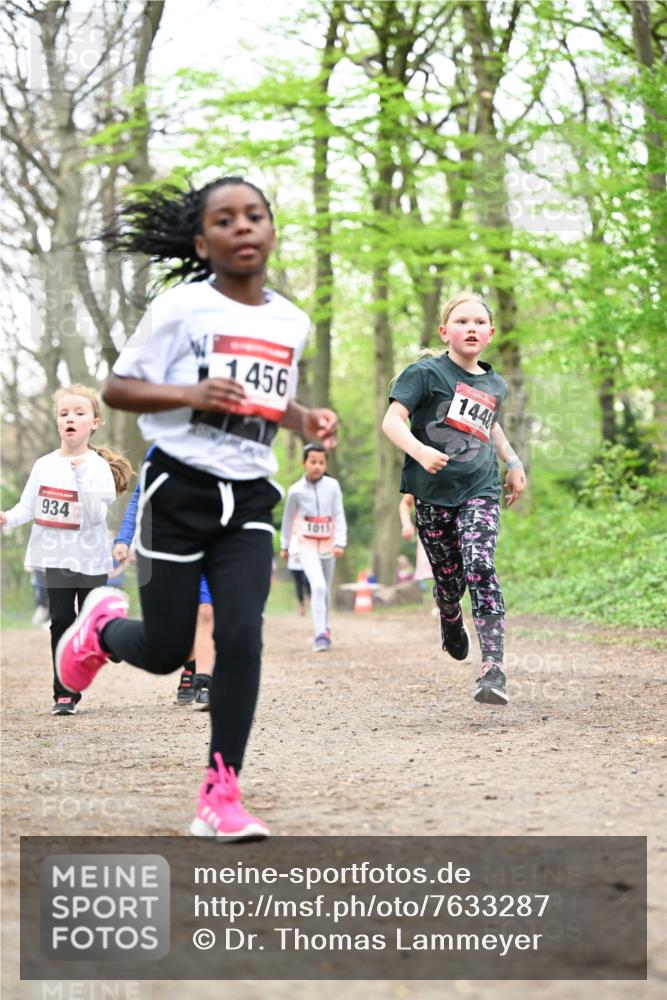 13.04.2025 - Hammer Lauf Dr. Thomas Lammeyer http://msf.ph/oto/7633287 13.04.2025 09:25:34 Laufen 456, 1448, 934, 1011 meine-sportfotos.de