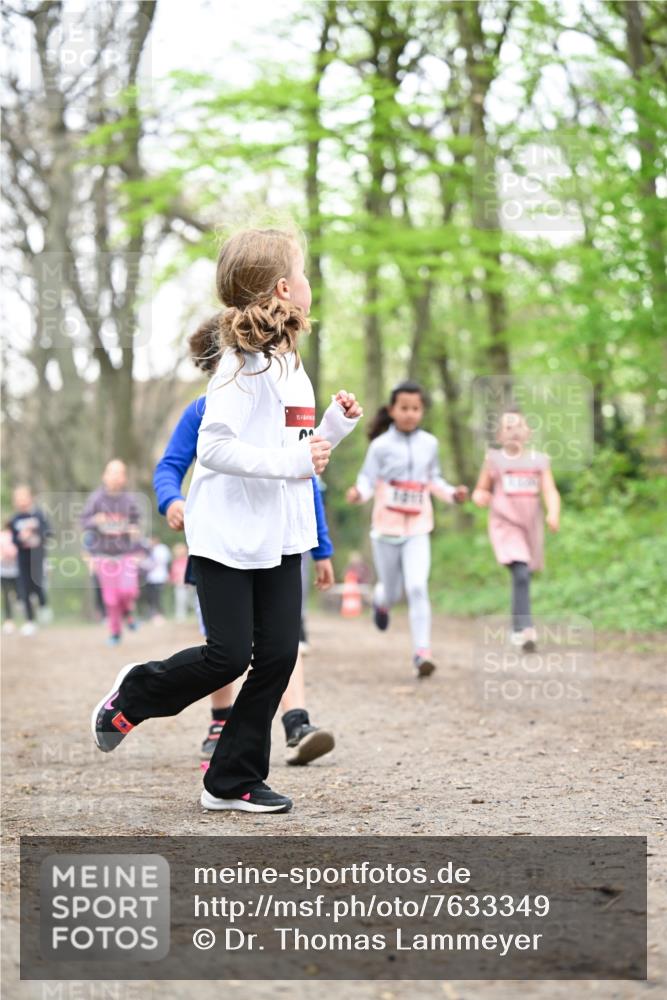 13.04.2025 - Hammer Lauf Dr. Thomas Lammeyer http://msf.ph/oto/7633349 13.04.2025 09:25:36 Laufen 15 meine-sportfotos.de