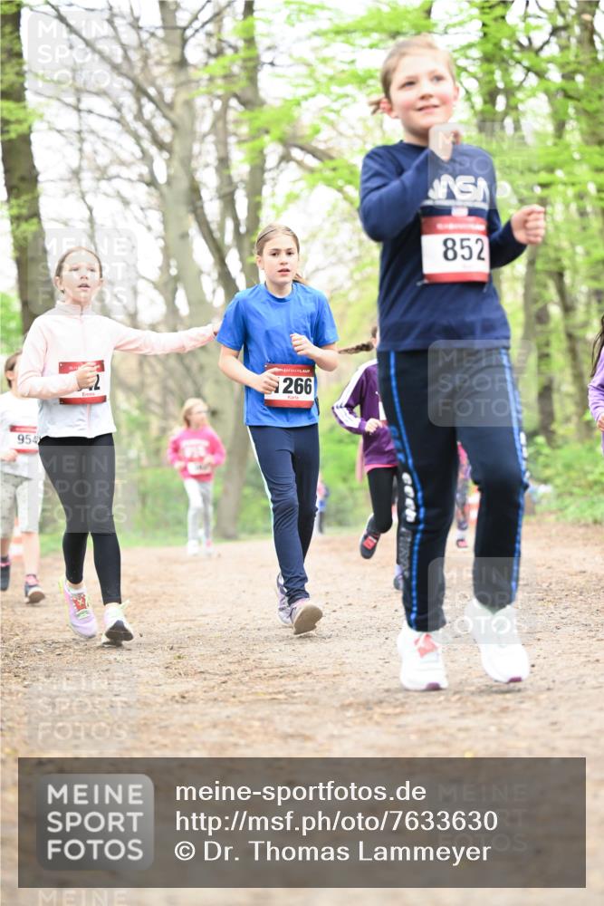 13.04.2025 - Hammer Lauf Dr. Thomas Lammeyer http://msf.ph/oto/7633630 13.04.2025 09:25:44 Laufen 954, 266, 852 meine-sportfotos.de