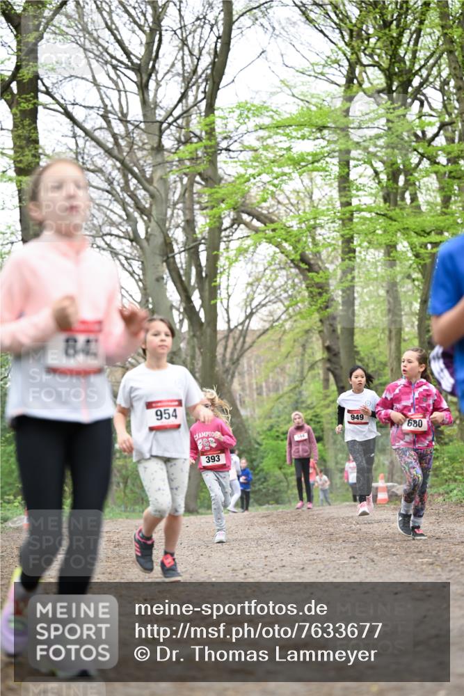 13.04.2025 - Hammer Lauf Dr. Thomas Lammeyer http://msf.ph/oto/7633677 13.04.2025 09:25:45 Laufen 84, 954, 393, 949, 680 meine-sportfotos.de