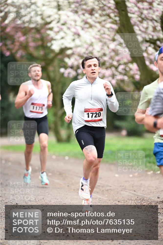 13.04.2025 - Hammer Lauf Dr. Thomas Lammeyer http://msf.ph/oto/7635135 13.04.2025 10:03:57 Laufen 1175, 15, 1720 meine-sportfotos.de