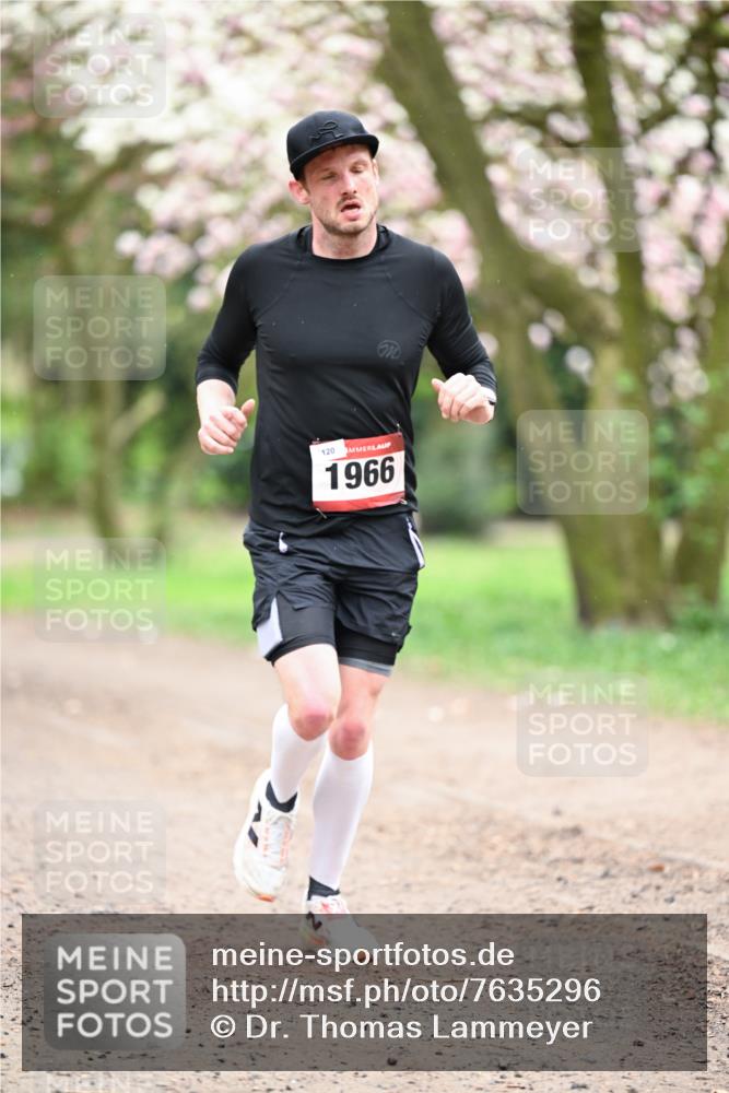 13.04.2025 - Hammer Lauf Dr. Thomas Lammeyer http://msf.ph/oto/7635296 13.04.2025 10:04:18 Laufen 120, 1966 meine-sportfotos.de