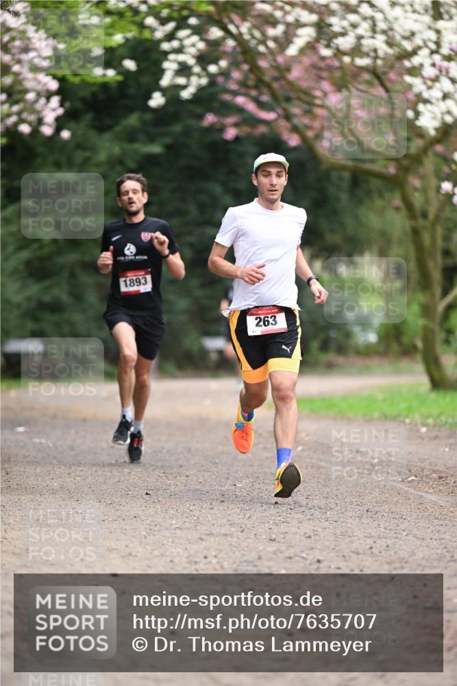 13.04.2025 - Hammer Lauf Dr. Thomas Lammeyer http://msf.ph/oto/7635707 13.04.2025 10:04:58 Laufen 1893, 15, 263 meine-sportfotos.de