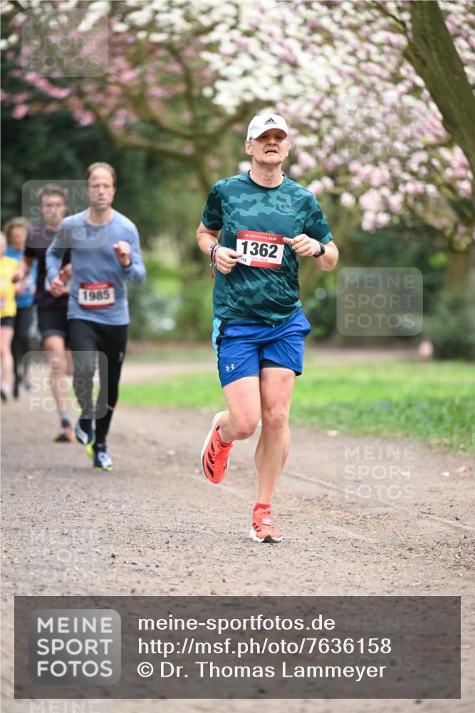 13.04.2025 - Hammer Lauf Dr. Thomas Lammeyer http://msf.ph/oto/7636158 13.04.2025 10:05:35 Laufen 1985, 15, 1362, 118 meine-sportfotos.de