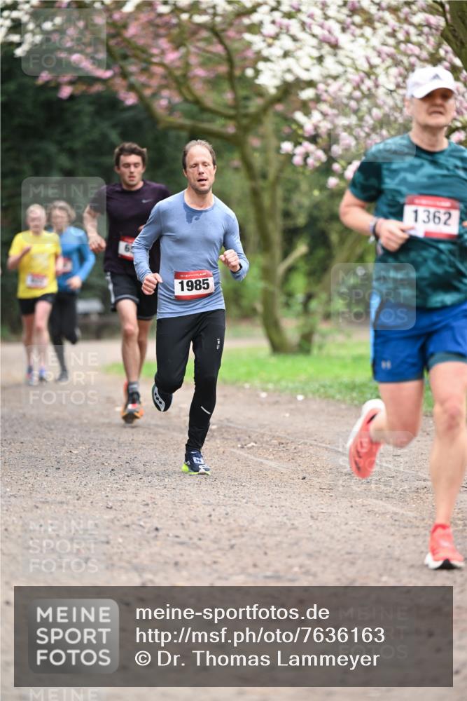 13.04.2025 - Hammer Lauf Dr. Thomas Lammeyer http://msf.ph/oto/7636163 13.04.2025 10:05:36 Laufen 1985, 1362 meine-sportfotos.de