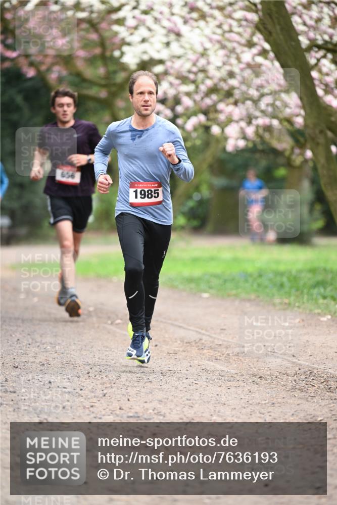 13.04.2025 - Hammer Lauf Dr. Thomas Lammeyer http://msf.ph/oto/7636193 13.04.2025 10:05:36 Laufen 656, 15, 1985 meine-sportfotos.de